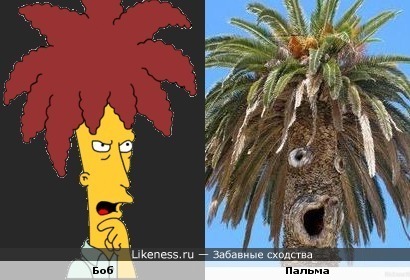 Боб из симпсонов похож на пальму