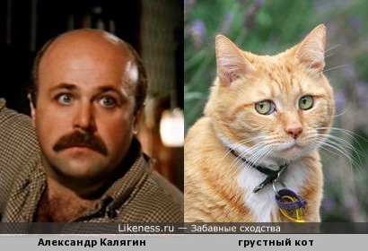 Александр Калягин похож на грустного кота