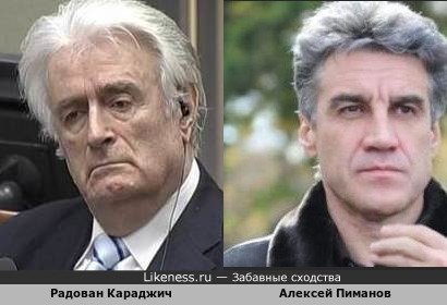Радован Караджич похож на Алексея Пиманова