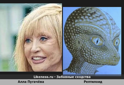 Глаза А. Пугачёвой похожи на глаза рептилоида