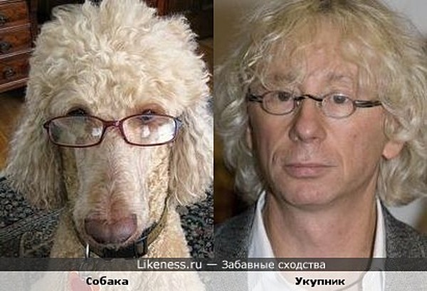 Собака, которая съест паспорт Собака, которая съест паспорт