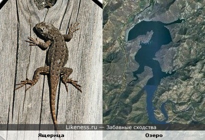 Озеро в Центральной Америке похожее на ящерицу