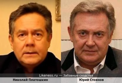 Николай Платошкин похож на Юрия Стоянова