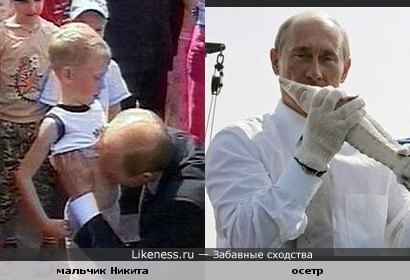 Путин Целует Мальчика В Живот Фото