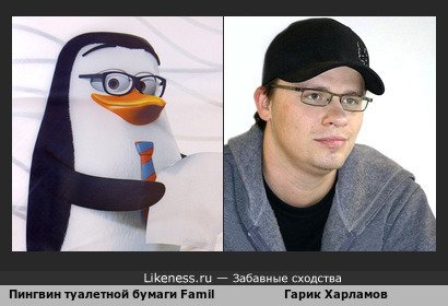 Пингвин туалетной бумаги Familia напоминает Гарика Харламова