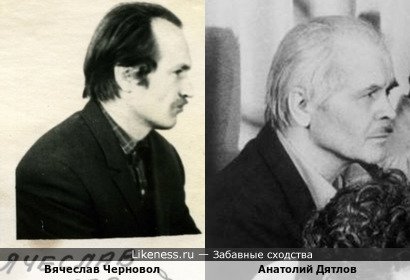 Вячеслав Черновол немного похож на Анатолия Дятлова