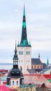 The Tower of St. Olav