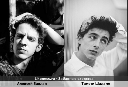 Алексей Баклан похож на Тимоти Шаламе