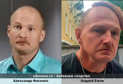 Александр Фисенко похож на Андрея Ежова