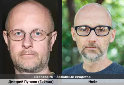 Дмитрий Пучков (Гоблин) похож на Моби