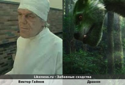 Виктор Гайнов из фильма Ширли Мырли похож на Дракон из фильма Пит и его дракон