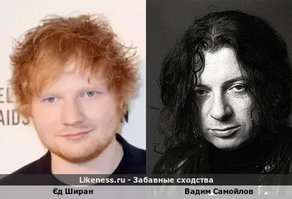 Єд Ширан похож на Вадима Самойлова