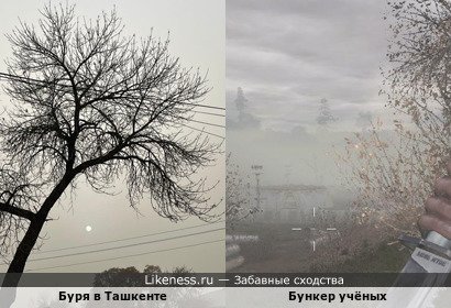Буря в Ташкенте напоминает Бункер учёных