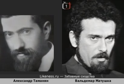 Александр Таманян похож на Вальдемара Матушку