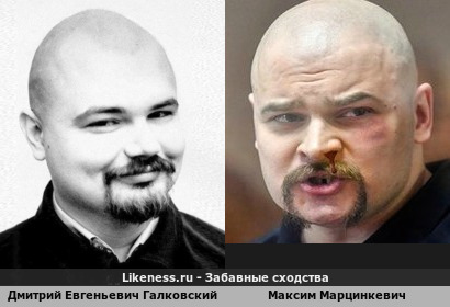 Дмитрий Евгеньевич Галковский похож на Максима Марцинкевича