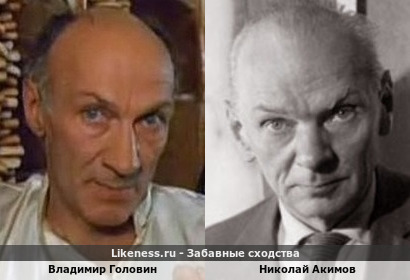 Владимир Головин похож на Николая Акимова