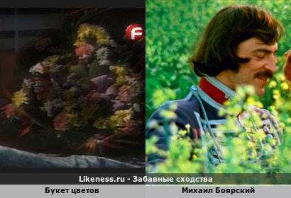Букет цветов напоминает Михаила Боярского