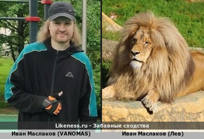 Иван Маслаков (VANOMAS) похож на Льва