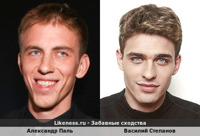 Александр Паль похож на Василия Степанова