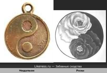 Медальон и розы