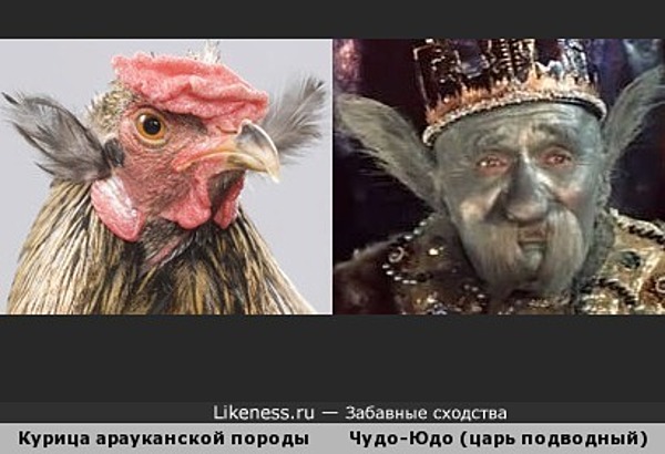 Как у нашей у Зверушки жили-были чудо-ушки, чудо-чудо ушки были у Зверушки... Как у нашей у Зверушки жили-были чудо-ушки, чудо-чудо ушки были у Зверушки...