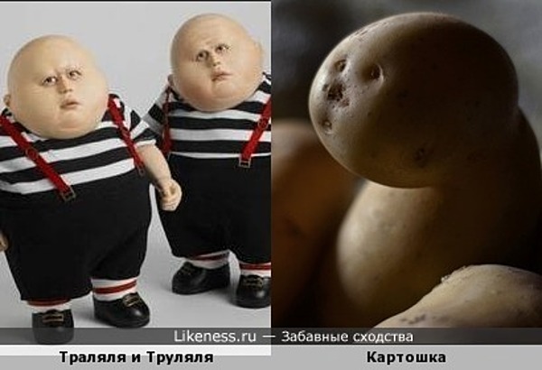 Картошка похожа на Траляля и Труляля Картошка похожа на Траляля и Труляля