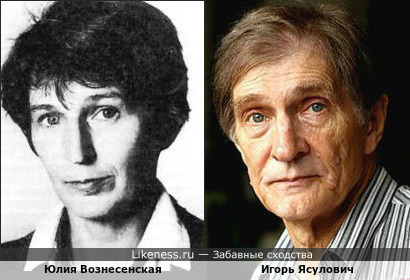 Юлия Вознесенская похожа на Игоря Ясуловича