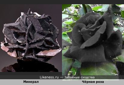 Минерал напоминает чёрную розу