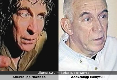 Здесь Александр Маслаев похож на Александра Пашутина