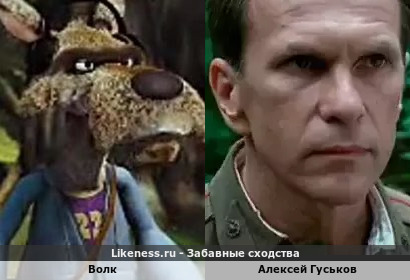 Волк похож на Алексея Гуськова