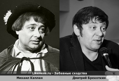 Михаил Каплан похож на Дмитрия Брекоткина