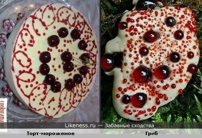 Торт-мороженое похож на гриб кровавый зуб
