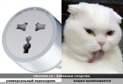 Универсальный переходник для разных типов электровилок напоминает кошку с высунутым языком