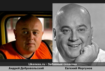Андрей Добровольский похож на Евгения Моргунова