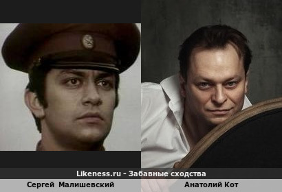 Сергей Малишевский похож на Анатолия Кота