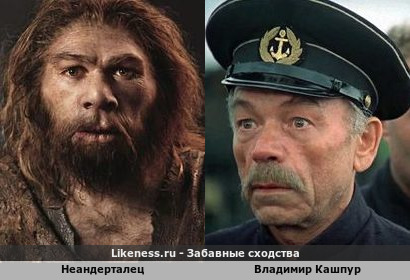 Неандерталец напоминает Владимира Кашпура