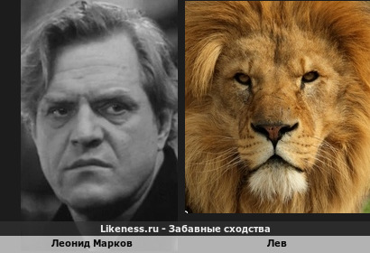 Леонид Марков похож на Леву
