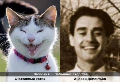 Счастливый котик похож на Андрея Дементьева