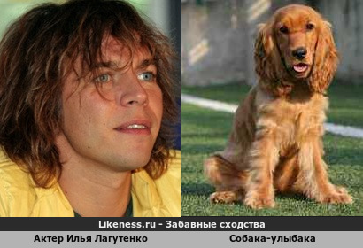 Актер Илья Лагутенко напоминает Собака-улыбака