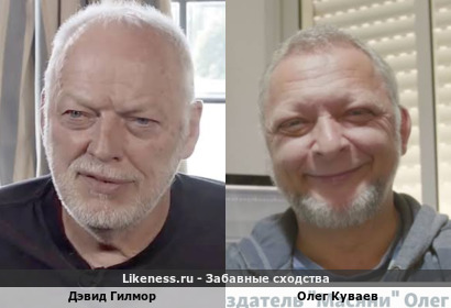 Похожи?