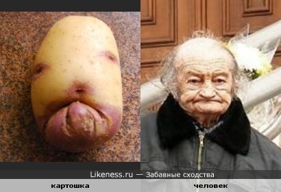 Картошка похожа на лицо