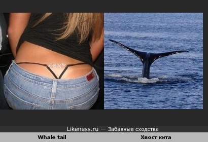 High cut bikini bottom whale tail
