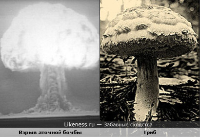 Взрыв атомной бомбы очень напоминает гриб