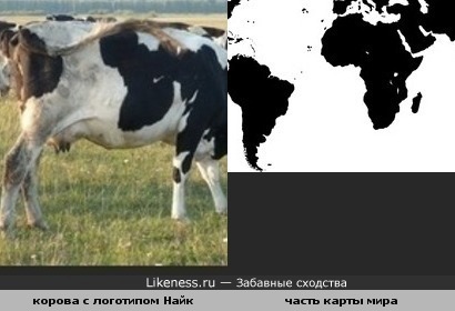 Часть карты мира на корове с логотипом Найк