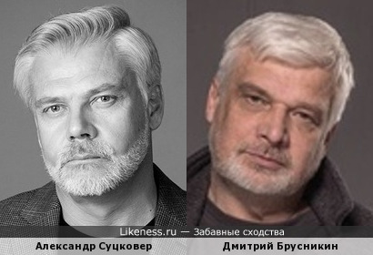 Александр Суцковер похож на Дмитрия Брусникина