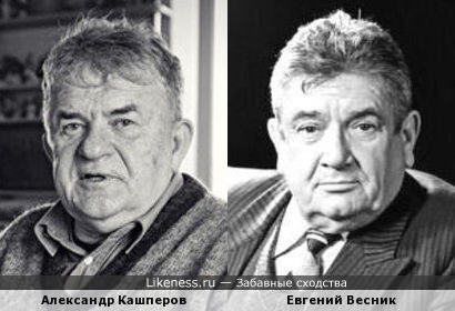Александр Кашперов похож на Евгения Весника