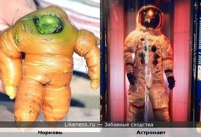 Космическая морковь