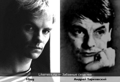 Sting похож на Андрея Арсеньевича