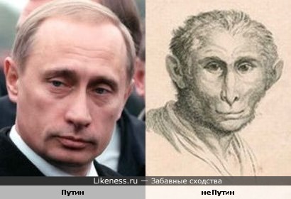 Владимир Путин и старинный рисунок