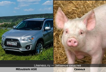 Mitsubishi ASX похож на Свинью